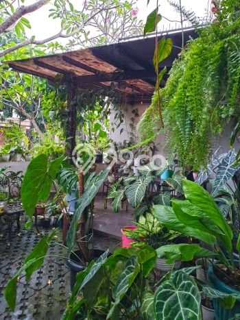 Rumah Mewah LB 300m2 Siap Pakai Desain Elegan di Sektor 9-Bintaro, Tangerang Selatan Rumah Mewah LB 300m2 Siap Pakai Desain Elegan di Sektor 9-Bintaro, Tangerang Selatan