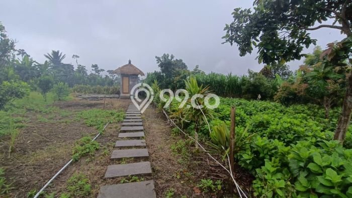Tanah Dijual di Buleleng Seluas 1000m2 Strategis Tanah Dijual di Buleleng Seluas 1000m2 Strategis