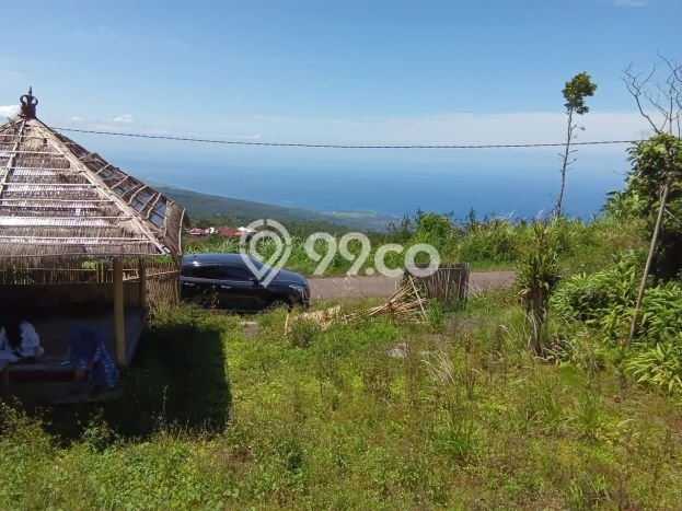 Tanah Dijual di Buleleng Seluas 1000m2 Strategis Tanah Dijual di Buleleng Seluas 1000m2 Strategis
