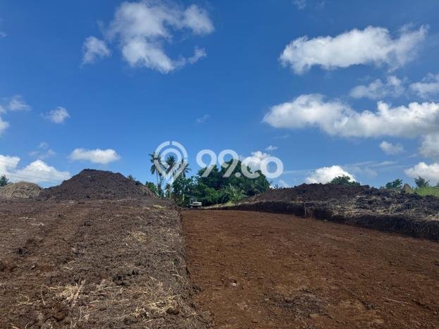 Tanah Dijual Lokasi Tabanan, Tabanan Luas 250m2 Legalitas Aman Tanah Dijual Lokasi Tabanan, Tabanan Luas 250m2 Legalitas Aman