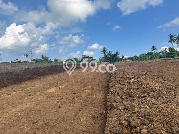 Tanah Dijual Lokasi Tabanan, Tabanan Luas 250m2 Legalitas Aman Tanah Dijual Lokasi Tabanan, Tabanan Luas 250m2 Legalitas Aman
