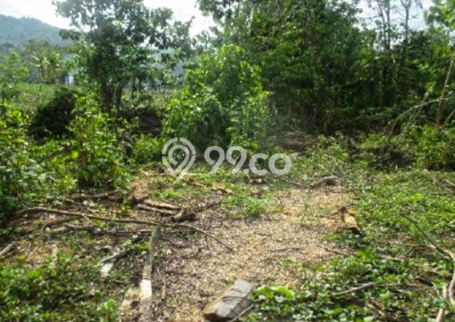 Tanah Kavling untuk Dijual di Bontomarannu Gowa 31m2 Tanah Kavling untuk Dijual di Bontomarannu Gowa 31m2