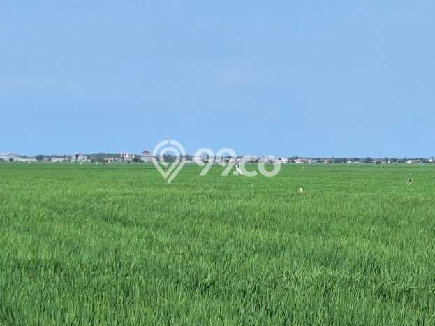 Lahan Dijual Lokasi Tempuran, Karawang dengan Luas Tanah 12515m2 dan Status SHM Lahan Dijual Lokasi Tempuran, Karawang dengan Luas Tanah 12515m2 dan Status SHM