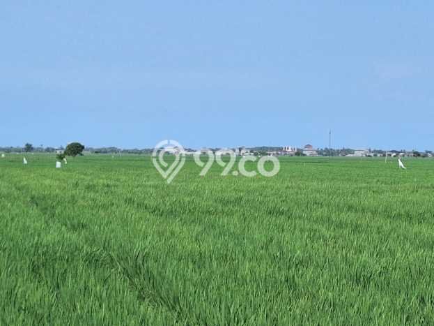 Tanah di Rawamerta, Karawang Luas 8315m2 Dijual Segera Tanah di Rawamerta, Karawang Luas 8315m2 Dijual Segera