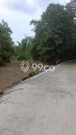 For Sale Tanah Kawasan Meteseh, Luas 7000m², Akses Meteseh, Semarang, Semarang For Sale Tanah Kawasan Meteseh, Luas 7000m², Akses Meteseh, Semarang, Semarang