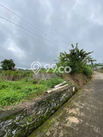 Jarang Ada! Tanah di Batu Punya Luas 5191m2 SHM Jarang Ada! Tanah di Batu Punya Luas 5191m2 SHM
