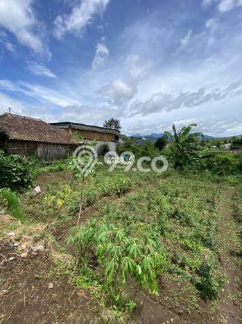 Tanah Dijual Lokasi Batu, Batu Luas 2300m2 Legalitas Aman Tanah Dijual Lokasi Batu, Batu Luas 2300m2 Legalitas Aman