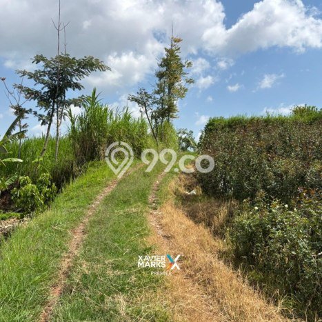 Tanah Dijual Lokasi Batu, Batu Luas 1684m2 Legalitas Aman Tanah Dijual Lokasi Batu, Batu Luas 1684m2 Legalitas Aman
