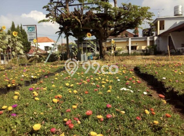 Siap Huni Rumah Mewah 4 Kamar di Batu Dekat ke Mana Pun Siap Huni Rumah Mewah 4 Kamar di Batu Dekat ke Mana Pun