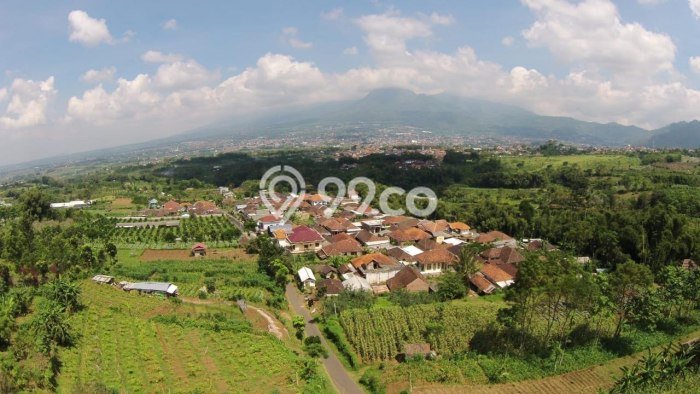 Lahan untuk Dijual di Bumiaji Batu Luas 1649m2 Lahan untuk Dijual di Bumiaji Batu Luas 1649m2