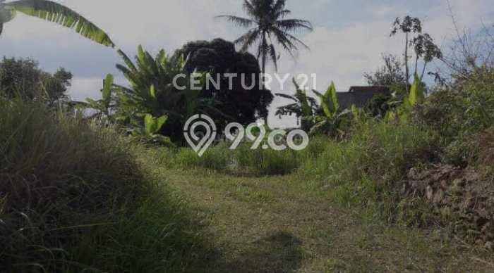 Tanah untuk Dijual Lokasi Sidorejo, Salatiga Luas 3292m2 SHM Tanah untuk Dijual Lokasi Sidorejo, Salatiga Luas 3292m2 SHM