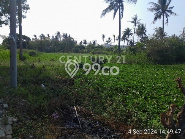 Tanah untuk Dijual Lokasi Pakuhaji, Tangerang Luas 11005m2 SHM Tanah untuk Dijual Lokasi Pakuhaji, Tangerang Luas 11005m2 SHM