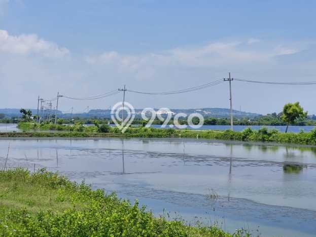 Kavling Tanah untuk Dijual di Ujung Pangkah, Gresik, Luas 160000m2 Kavling Tanah untuk Dijual di Ujung Pangkah, Gresik, Luas 160000m2