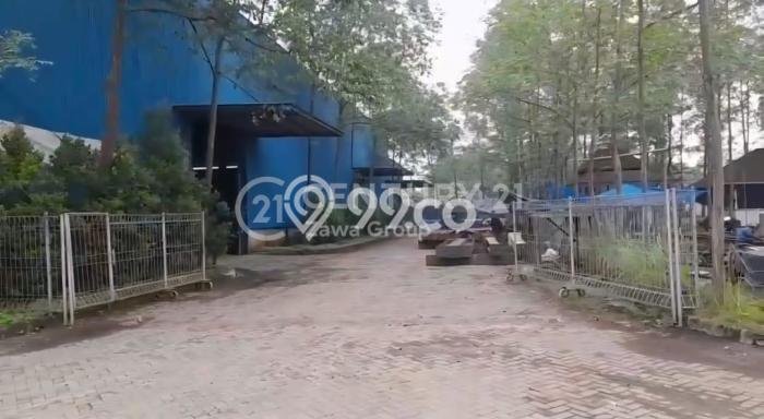 Gudang di Balaraja, Luas 5000m², Lokasi Komersial, Disewakan Gudang di Balaraja, Luas 5000m², Lokasi Komersial, Disewakan