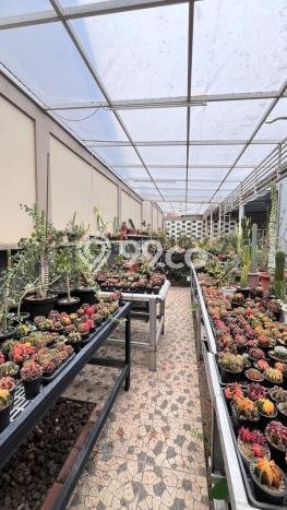 Best Deal Hunian Premium Ideal dan Luas di Gunung Putri, Bogor Best Deal Hunian Premium Ideal dan Luas di Gunung Putri, Bogor