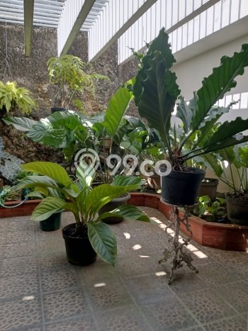 Hunian Eksklusif Siap Huni LT 558m2 di Kebayoran Baru, Jakarta Selatan Hunian Eksklusif Siap Huni LT 558m2 di Kebayoran Baru, Jakarta Selatan