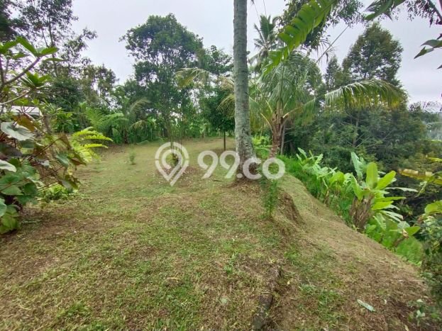 Kavling Tanah Dijual di Payangan, Gianyar, Luas 4417m2 Area Strategis Kavling Tanah Dijual di Payangan, Gianyar, Luas 4417m2 Area Strategis