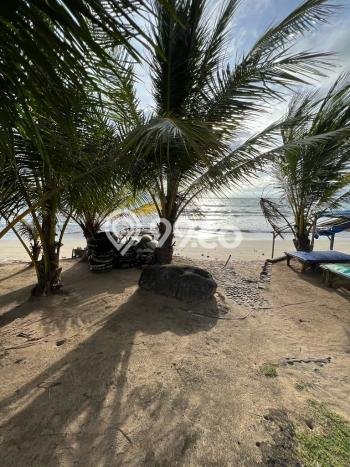 Properti Berkualitas! Vila Kawasan Anyer, Area 3116m2m², Lingkungan Asri dan tenang Properti Berkualitas! Vila Kawasan Anyer, Area 3116m2m², Lingkungan Asri dan tenang