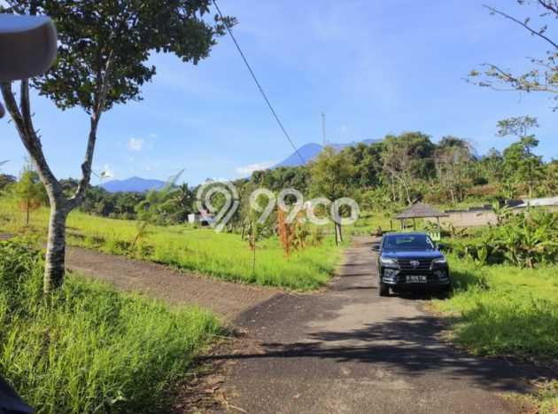 Tanah Dijual Lokasi Cisarua, Bogor Luas 2000m2 Legalitas Aman Tanah Dijual Lokasi Cisarua, Bogor Luas 2000m2 Legalitas Aman