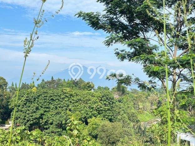 Lahan untuk Dijual di Megamendung Bogor Luas 510m2 Lahan untuk Dijual di Megamendung Bogor Luas 510m2