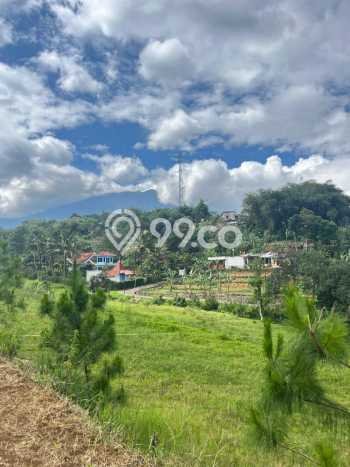 Tanah Dijual Lokasi Cisarua, Bogor Luas 2000m2 Legalitas Aman Tanah Dijual Lokasi Cisarua, Bogor Luas 2000m2 Legalitas Aman