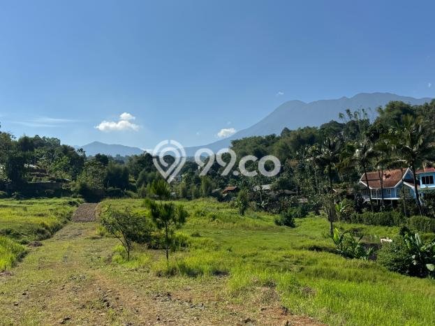 Kavling Tanah di Cisarua Dijual Luas 650m2 Legalitas SHM Kavling Tanah di Cisarua Dijual Luas 650m2 Legalitas SHM