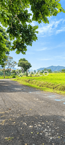 Tanah Kosong Dijual di Bogor dengan Area 700m2 Tanah Kosong Dijual di Bogor dengan Area 700m2