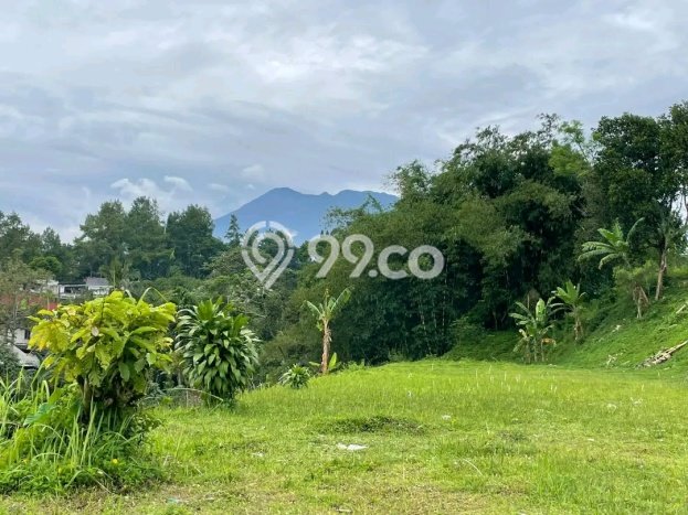 Kavling Tanah Dijual di Megamendung Bogor Spesifikasi 1000m2 Kavling Tanah Dijual di Megamendung Bogor Spesifikasi 1000m2