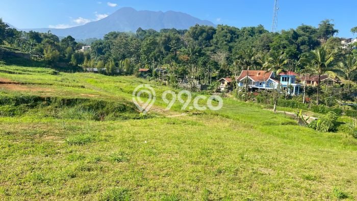 Kavling Tanah Dijual di Cisarua Bogor Spesifikasi 100m2 Kavling Tanah Dijual di Cisarua Bogor Spesifikasi 100m2