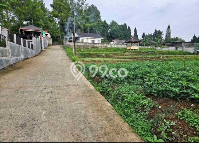 Kavling Tanah di Megamendung Dijual Luas 553m2 Legalitas SHM Kavling Tanah di Megamendung Dijual Luas 553m2 Legalitas SHM