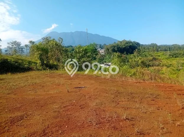Tanah Dijual Lokasi Cisarua, Bogor Luas 1000m2 Legalitas Aman Tanah Dijual Lokasi Cisarua, Bogor Luas 1000m2 Legalitas Aman