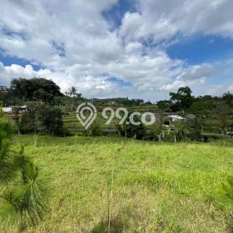 Tanah Komersial Dijual di Cisarua Bogor 1000m2 Tanah Komersial Dijual di Cisarua Bogor 1000m2