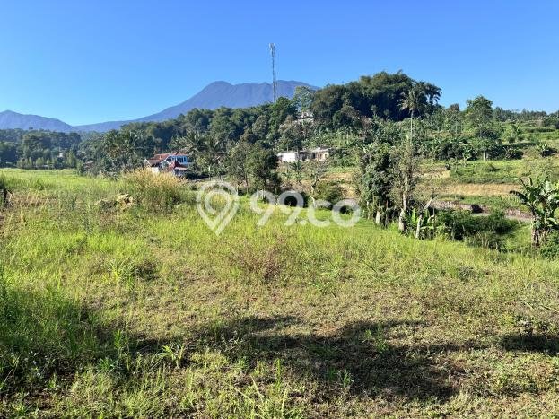Lahan Investasi Lokasi Cisarua Bogor SHM Lahan Investasi Lokasi Cisarua Bogor SHM