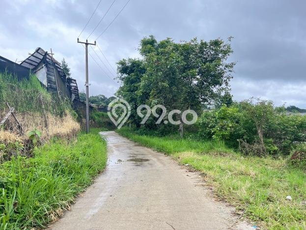 Tanah Kosong Dijual di Bogor dengan Area 10000m2 Tanah Kosong Dijual di Bogor dengan Area 10000m2