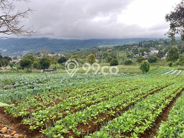 Tanah Kosong Dijual di Bogor dengan Area 10000m2 Tanah Kosong Dijual di Bogor dengan Area 10000m2
