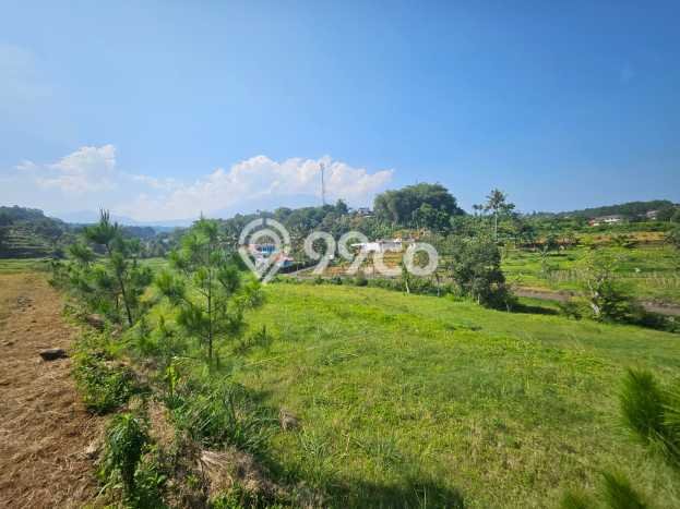 Lahan Investasi Lokasi Cisarua Bogor SHM Lahan Investasi Lokasi Cisarua Bogor SHM