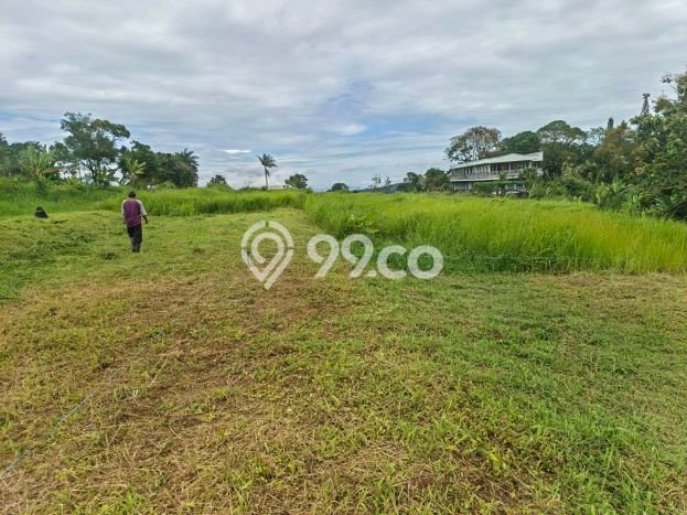 Lahan untuk Dijual di Cisarua Bogor Luas 1000m2 Lahan untuk Dijual di Cisarua Bogor Luas 1000m2