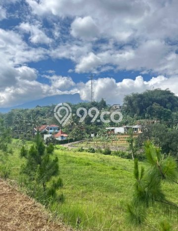Kavling Tanah di Cisarua Dijual Luas 440m2 Legalitas SHM Kavling Tanah di Cisarua Dijual Luas 440m2 Legalitas SHM