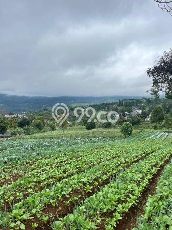 Tanah Kosong Dijual di Bogor dengan Area 10000m2 Tanah Kosong Dijual di Bogor dengan Area 10000m2