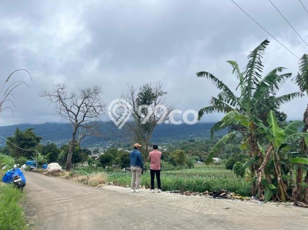 Tanah Kosong Dijual di Bogor dengan Area 10000m2 Tanah Kosong Dijual di Bogor dengan Area 10000m2