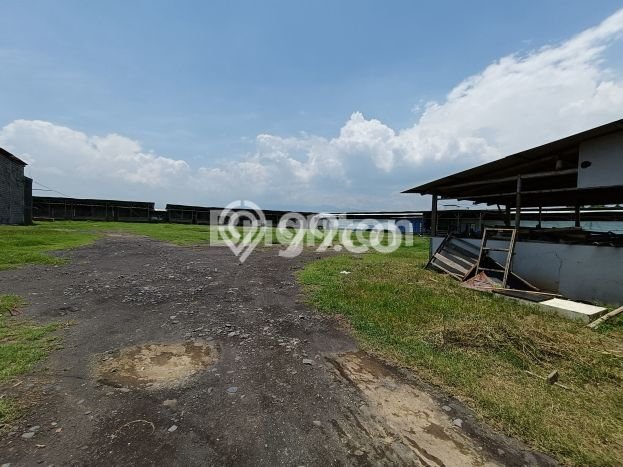 Ruko Dijual di Sukodono Lumajang dengan LB 1100m2 Ruko Dijual di Sukodono Lumajang dengan LB 1100m2