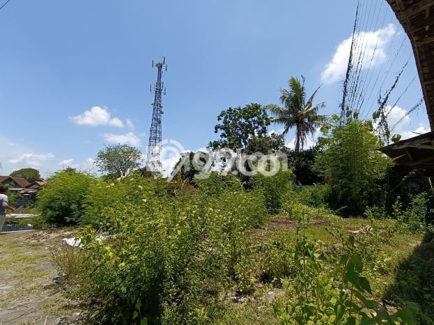 Rumah Elit Modern Tanpa Renovasi di Sumbersoko Lumajang Rumah Elit Modern Tanpa Renovasi di Sumbersoko Lumajang