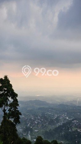 Rumah Eksklusif Dijual LT 3000m2 di Karanganyar, Solo Rumah Eksklusif Dijual LT 3000m2 di Karanganyar, Solo