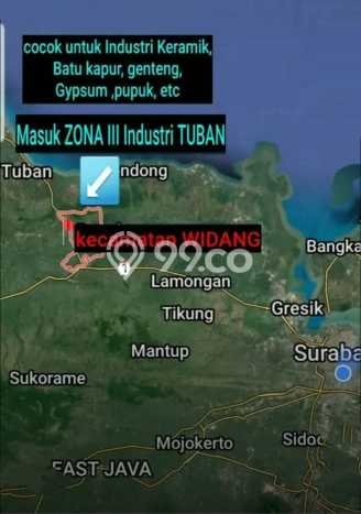 TANAH POTENSIAL! Tanah di Widang, Luas 40000m2m², Tepi Jalan Raya TANAH POTENSIAL! Tanah di Widang, Luas 40000m2m², Tepi Jalan Raya