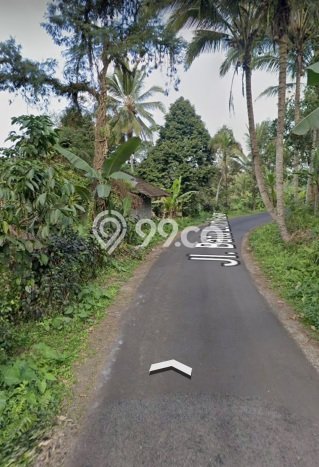 Tanah Investasi Dijual di Tabanan Punya Luas 4630m2 Tanah Investasi Dijual di Tabanan Punya Luas 4630m2