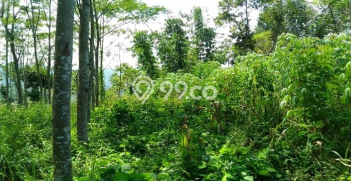 Tanah Kavling untuk Dijual di Cicalengka Bandung 30000m2 Tanah Kavling untuk Dijual di Cicalengka Bandung 30000m2