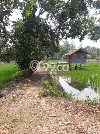 Unit Komersial Strategis di Tempuran, Karawang Potensi Cuan Besar Unit Komersial Strategis di Tempuran, Karawang Potensi Cuan Besar