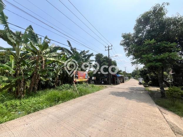 Kavling Tanah Dijual di Cisauk Tangerang Spesifikasi 117m2 Kavling Tanah Dijual di Cisauk Tangerang Spesifikasi 117m2