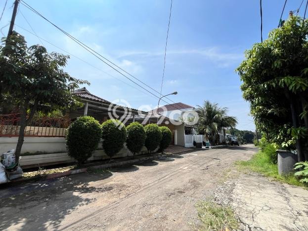 Jarang Ada! Tanah di Pasar Minggu Punya Luas 131m2 SHM Jarang Ada! Tanah di Pasar Minggu Punya Luas 131m2 SHM