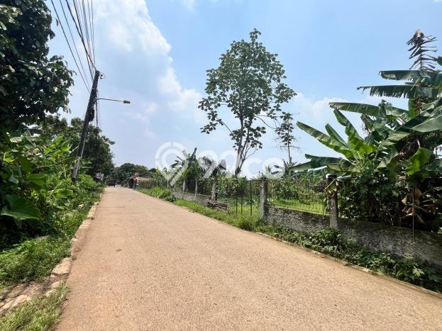 Tanah Siap Bangun Dijual di Tangerang Punya Luas 112m2 Tanah Siap Bangun Dijual di Tangerang Punya Luas 112m2